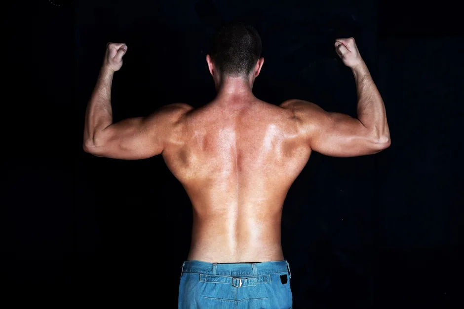 Muscle du dos : comment distinguer les groupes